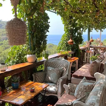 Bamboo With Sea View In Kabak Bay, Oeluedeniz * Fethiye